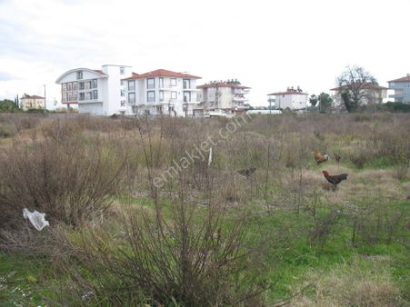 Sarılar Mah Tepede 507m2 Satılık Arsa 12000000tl