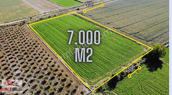 Konut Emlaktan Dallıca Ovasında Satılık Verimli Tarla