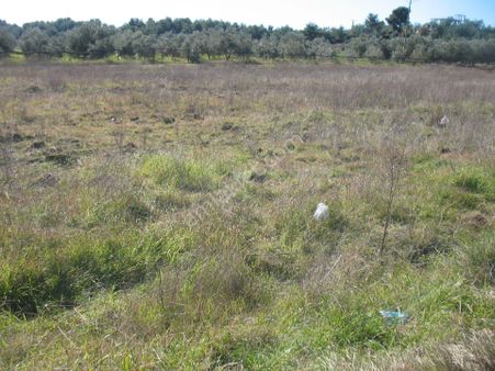 Sarılar Mah .509 M2 Satılık Arsa 10500000tl