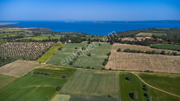 İntepe Altında Denize Ve Anayola Yakın Yatırımlık Fırsat Tarla