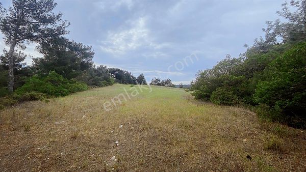 Merkez Elmacık'ta İmar Potansiyelli Kupon Arazi