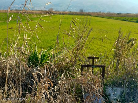 Sultanhisar Atça Mahallesinde Satılık Sulak Verimli Tarla