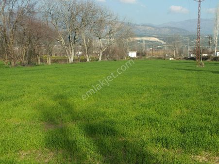 Bozdoğan Yazıkent Mahallesinde Satılık Yol Kenarındfa Satılık Tarla