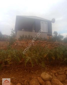 Kemalpaşa Vişneli 225 M2 Kooperatif Hissesi