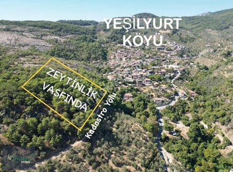 Yeşilyurt Köyüne 150m Mesafede Kadastro Yolu Olan Arazi 4215m²