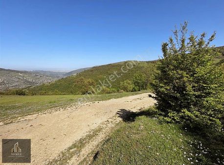 Canik Kızıloğlak Muhteşem Deniz Ve Doğa Manzaralı Tarla