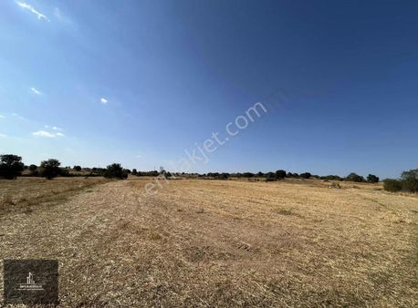 Merkez Kayalı Satılık Tarla!