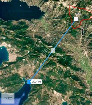 Muğla Milas Günlük 115 Ada 7 Par 257m2 Zeytinlik Yolu Var