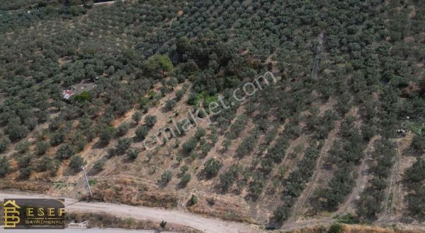 Asfalta Cephe Fırsat Yatırımlık Gayrimenkul !