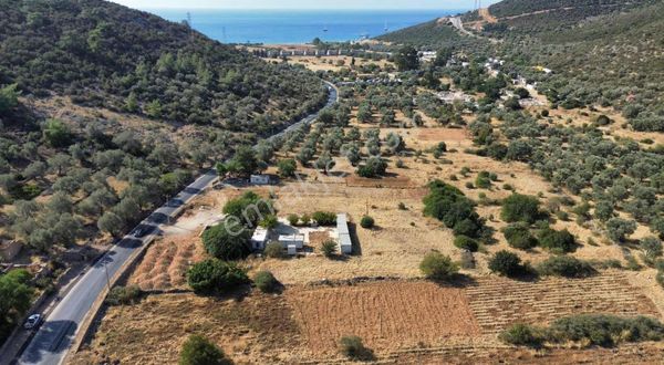 Bodrum Kızılağaç Gerenkuyu'da Anayola Cepheli 966 M² Tarla