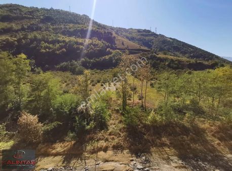 Akçaabat Hıdırnebi Yolu Karşısında Satılık Arazi Fındıklık Bahçe