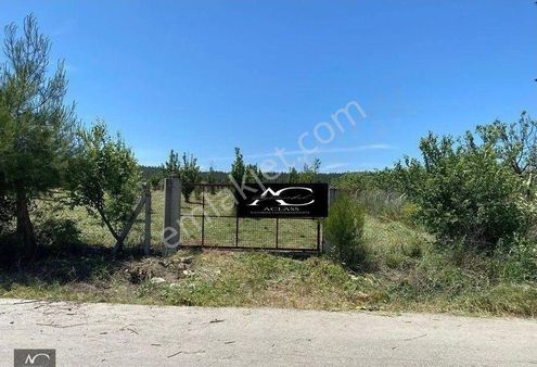 Aclass'dan Gokçealan Koyunde Etrafı Cıtlerle Cevrılmıs Yola Yakın 4500 M2 Satılık Fırsat Bahçe