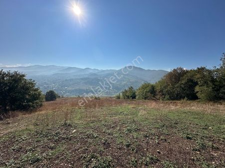 Kocaeli Başiskele Yuvacık Paşadağ Mahallesinde Satılık 3003m² Villa İmarlı Arsa Hissesi