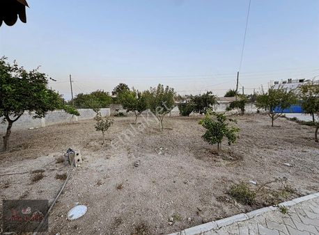 Umut Balta Gayrimenkul'den Büyükmangıt'ta Kiralık Müstakil Ev