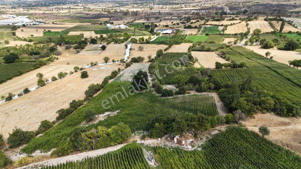 Balıkesir Altıeylül Cinge Mahallesi Satılık Tarla-arazi Fırsatı
