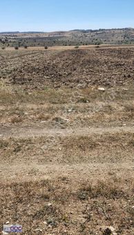 Kütahya Merkez 'de 2.334 M2 Resmi Yola Yakın Dümdüz Fırsat Arazi