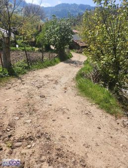 Balıkesir Bigadiç 'de 113 M2 Köy Dibinde İmar Sınırı Bahçe