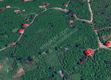 Delta Gayrimenkul'den Giresun Barça Köyünde Satılık Arsa..