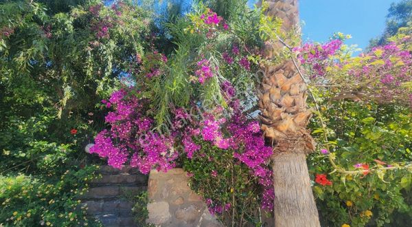 Akyarlar'da Site İçinde Villa