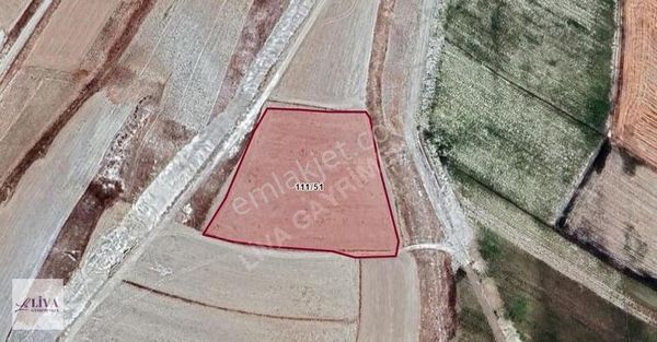 Liva'dan Bünyan Yünören'de 9406 M² Tek Tapu Tarla