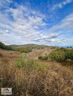 Yeniköy Full Deniz Ve Doğa Manzarası Tek Tapu 2626 M2