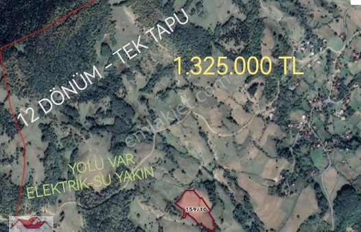 Samsun Alaçam Demircideresi Köyünde Kelepir 12 Dönüm Tarla