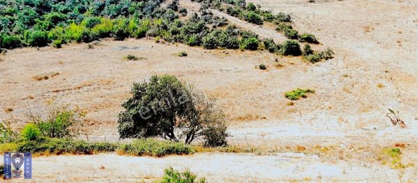 Netice Grup Gm.karacabey,subaşı Mh.de,resmi Yola Cephe,satılık