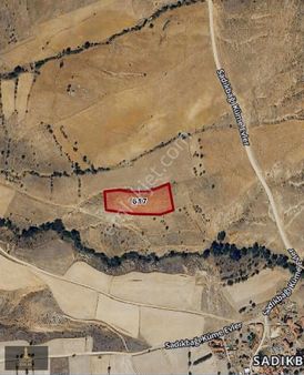 Oscar'dan Sivrihisar Sandıkbağı Köyünde Satılık Tarla