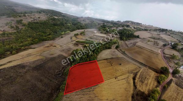 İzmit Ambarcıda Satılık 3.476 M2 Tarla %5 İmarlı Yola 1 Parsel