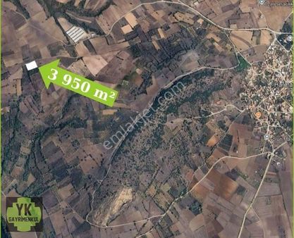 Satılık Karacabey Harmanlı 3 950 M² Kupon Tarla