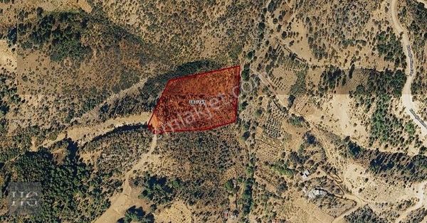 Has Gayrımenkul ' Den Çok Güzel Yatırım Fırsatı Bağ-yazlık Yeri