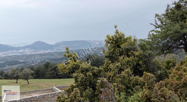 Kemalpaşa Ansızca Satılık 604 M2 Arsa