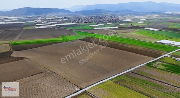 Menderes Çileme Mahallesindeki 70 Dönüm Arazi Satılıktır.