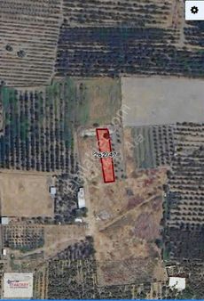 Kemalpaşa Ören 75. Yıl Mahallesi'nde Satılık Tarla -bağ