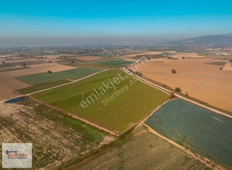 Torbalı Şehitler Mahallesinde 44 Dönüm Satılık Tarla