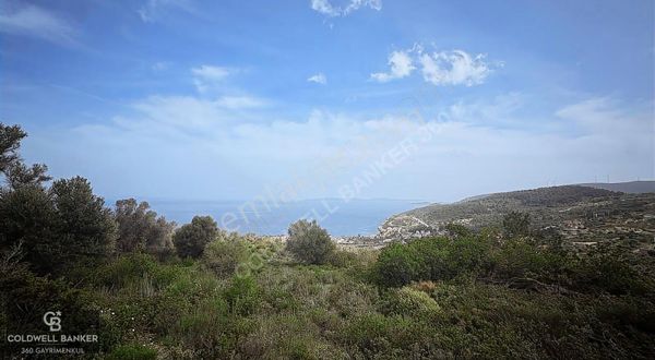 Karaburun İnecik'te Denız Manzaralı Satılık 5.820 M2 Tarla
