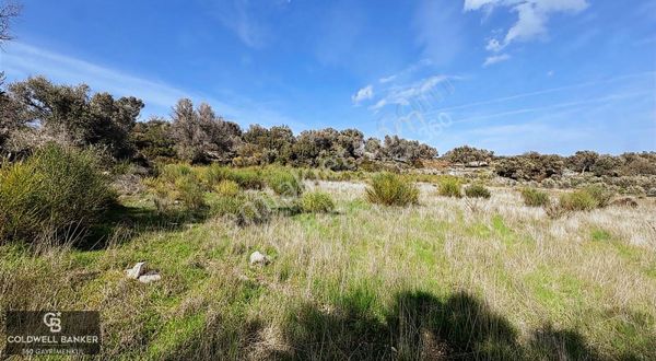 Karaburun Kösedere'de Satılık 6.469 Metrekare Tarla