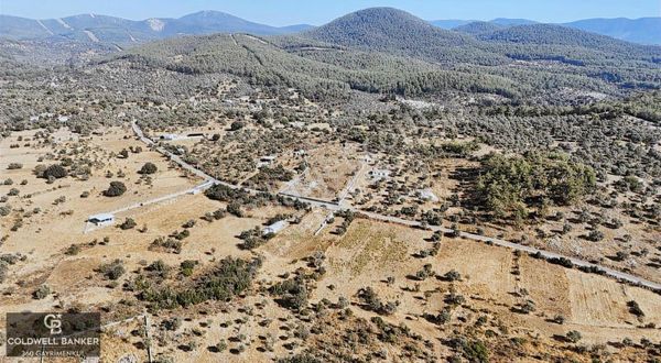 Muğla Milas Kalınağıl Köyü Satılık 2.240m2 Tek Tapu Tarla