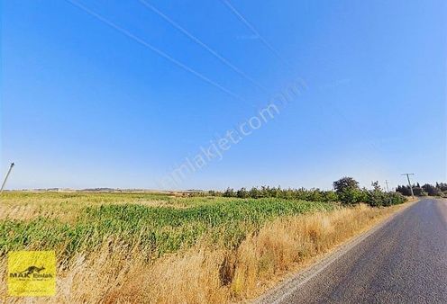 Ömerli'de Yola Cepheli 8 Dönüm Fırsat Arazi S2743