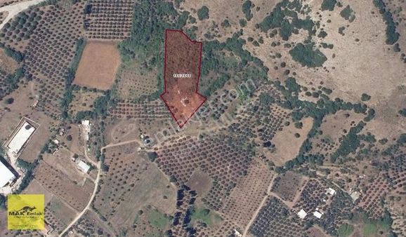 Edincik'te 5.679 M² Fırsat Satılık Tarla S2867