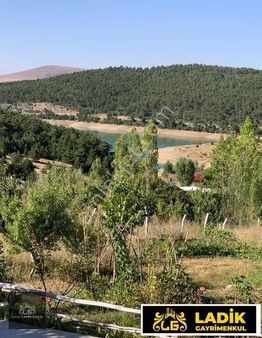 Kestel Göl Manzaralı Yetişmiş Fidanları Olan Satılık Bahçe