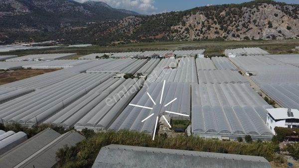 Uğur'dan Karadere Mah. Satılık 4065m2 İçerisinde 3 Dönüm Sera