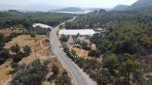 Uğur'dan Seydikemer Çukurincir' De 3100m2 Satılık Arazi