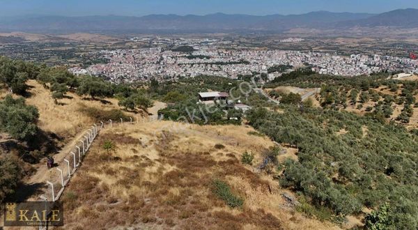 Kale'den Panoramik Tire Manzaralı Muhteşem Zeytinlik