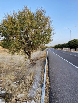 Royal Gayrimenkulden Niğde-aksaray Yolu Üzerinde Yola 50m Tarla