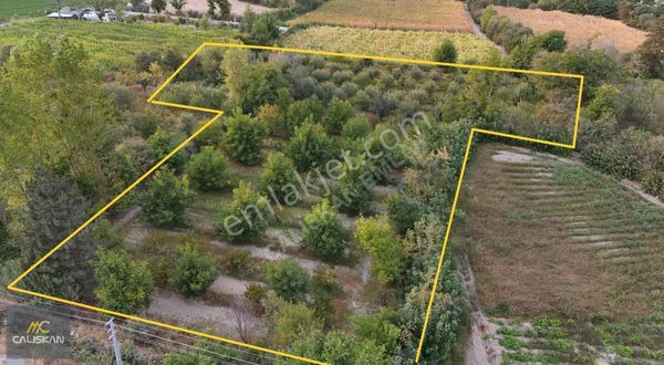 Pazar-seyitali Mahallesi Emsalsiz 5712 Tek Tapu Tarla