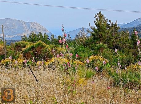 Antalya Kumluca Belen Satılık Deniz Manzaralı 5700 M2 Arazi...