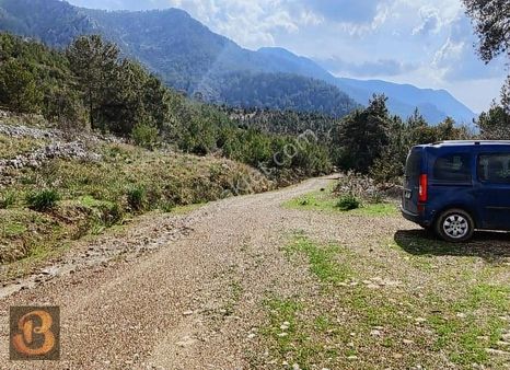 Antalya Kumluca Olympos'ta Satılık 5000 M2 Arazi...