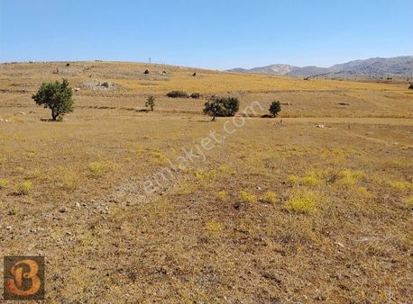 Antalya Korkuteli Avdan Da Satılık 1.600 M2 Arazi...