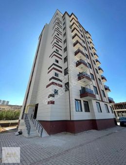 Urfa'nın En Büyük 1+1 İ